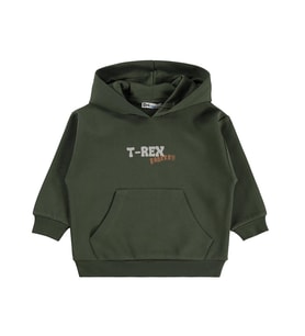 Civil Boys Trex Roar Baskılı 2-5 Yaş Sweatshirt - Haki