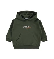 Civil Boys Trex Roar Baskılı 2-5 Yaş Sweatshirt - Haki