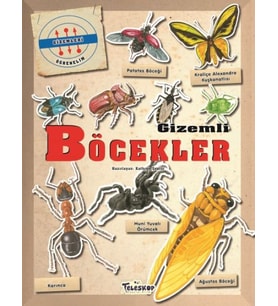Gizemleri Öğrenelim - Böcekler