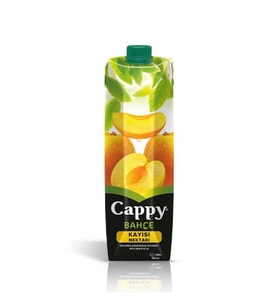 Kayısı Meyve Suyu 1 Lt.
