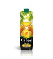Kayısı Meyve Suyu 1 Lt.