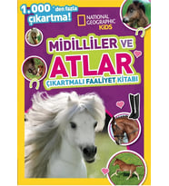 Nessiworld Kids Midilliler ve Atlar Çıkartmalı Faaliyet Kitabı