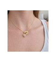 14K Altın Renginde D Harf Pembe Kalpli Minimal Çelik Kadın Kolye