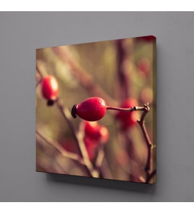 KUŞBURNU KANVAS TABLO 50x50cm (Karışık)