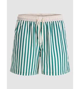 JACK JONES Erkek Çizgili Deniz Şortu 12291511