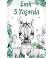Zebra Temalı Doğum Günü Afişi -1 35X50 cm