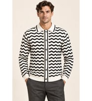 Erkek Polo Yaka Zikzak Desenli Düğmeli Triko Hırka Akrilik Karışımlı Slim Fit