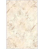 Eliana Home Baskılı, Yıkanabilir Kaymaz Taban Salon Halısı LNA1291 100x150 cm (Bej)