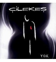 Çilekeş Y.O.K. LP Plak