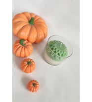 Skulent Detaylı Cam Kase Doğal Soya Mumu (Yeşil)