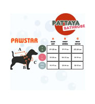 Pawstar Bornoz Kedi ve KÜÇÜK Köpek Mavi Pattaya S-M