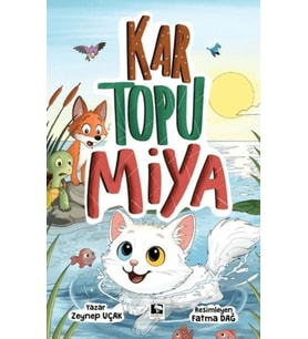 Kar Topu Miya