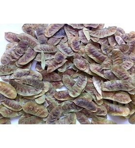 Dökme Bitkiler Aşlık Otu / Devegözü -100 Gr
