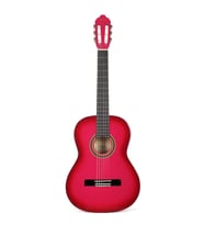 Valencia Vc104tpks Klasik Gitar 4/4 Pembe Sunburst Sap Çelikli