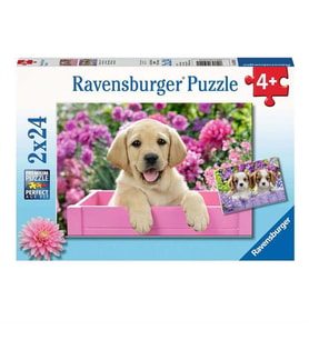 Ravensburger 2x24 Puzzle Friends RPK050291