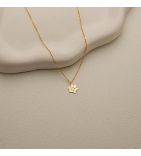 Kişiye Özel Minimal Evcil Hayvan Pati İsim Kolye 925K Gümüş (Gold)