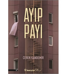 Ayıp Payı