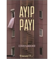 Ayıp Payı