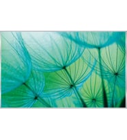 PROWALL POSTER DUVAR KAĞIDI 585 4 PARÇA (2.54mt X 1.84mt)