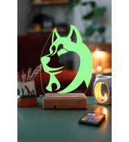 Husky Köpek 3D 16 Renk Gece Lambası