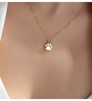 Kedi Patisi 14 Ayar Altın Kolye