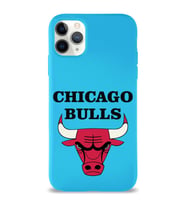 Apple iPhone 11 Pro Uyumlu Lansman Kılıf Chicago Bulls Tasarımlı Altı Kapalı İçi Kadife Kaplı  Kapak (Şeffaf)
