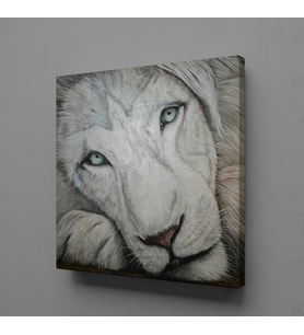 BEYAZ ASLAN KANVAS TABLO 170x170cm