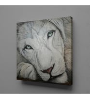 BEYAZ ASLAN KANVAS TABLO 170x170cm