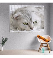 Yakın Çekim Kedi Dekoratif Kanvas Tablo