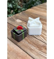 KÜP PAKET Kapaklı Silikon Kap Kalıbı