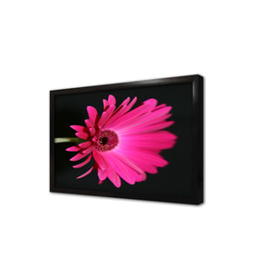 Pembe Çiçek Çerçeveli Mdf Tablo