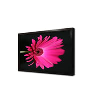 Pembe Çiçek Çerçeveli Mdf Tablo