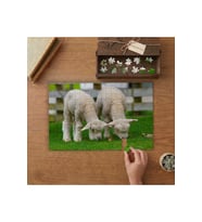 Otlayan Kuzular Tasarımı 240 parça Ahşap Puzzle Ahşap Kutuda MP04766