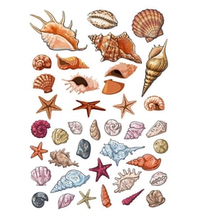 Deniz canlıları Sticker Set-1 18 Parça Telefon, Tablet, Defter, Laptop Sticker