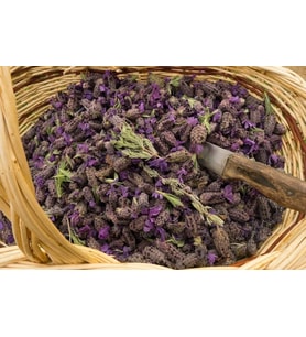 Karabaş Otu 250 gr ( Doğal Kurutulmuş, Elenmiş, Katkısız )