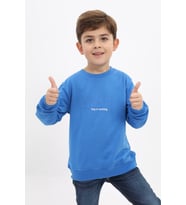 Toontoy Erkek Çocuk Baskılı Sweatshirt (Saks)