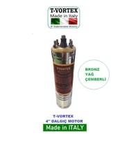 ORJİNAL İTALYAN 1 HP 380v Bronz Yağ Çemberli NSK Rulmanlı 4" Dalgıç Pompa Çıplak Motor