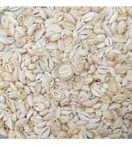 Cyprea Annulus Kesik  Kavrulmuş Deniz Kabuğu 100 GR
