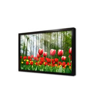 Sarı Kırmızı Laleler Çerçeveli Mdf Tablo