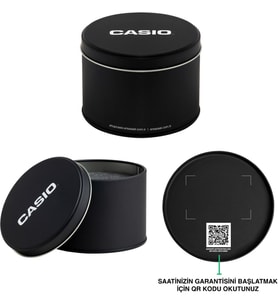 Casio LTP-1234DD-2ADF Kadın Kol Saati