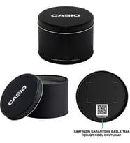Casio LTP-1234DD-2ADF Kadın Kol Saati