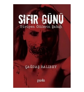 Sıfır Günü