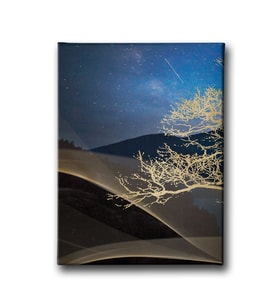 Modern Canvas Tablo MİND340