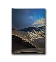 Modern Canvas Tablo MİND340