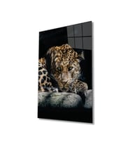 Miyrem Glasses Collection -A1^#  Kaplan Hayvan Portresi Cam TabloCam Tablo (Çok Renkli)