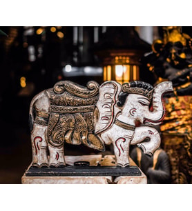 Elephant Colored