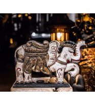 Elephant Colored