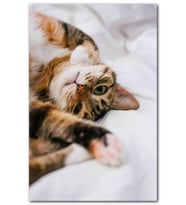 Cakatablo Oyuncu Sevimli Kedi MDF Tablo