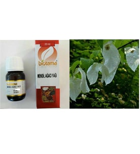 MENDİL AĞACI YAĞI 20 ML SİVİLCE LEKE YAĞI