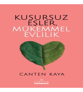 Kusursuz Eşler, Mükemmel Evlilik